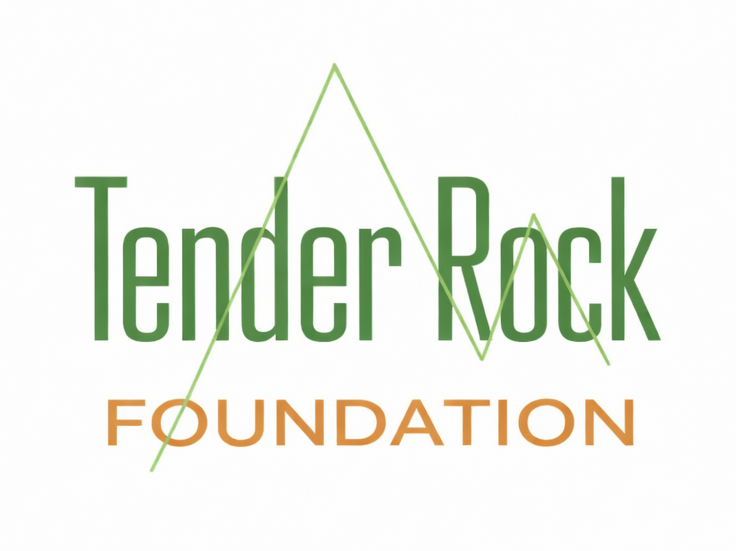 HOME - Tender Rock Foundation